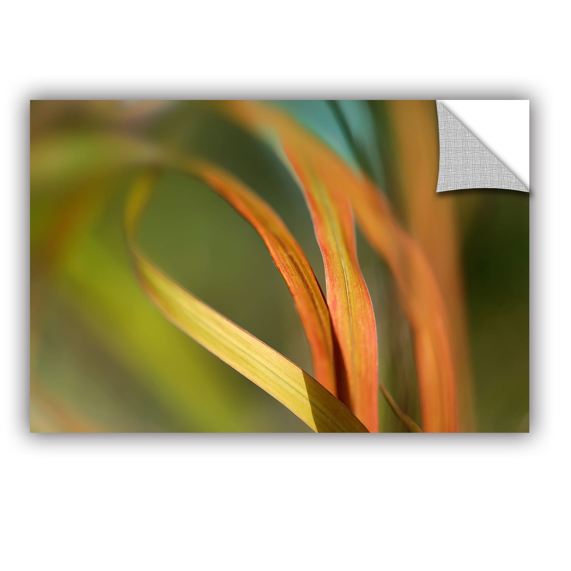 ArtAppealz Cora Niele "Autumn Grass" Removable Wall Art