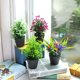thumbnail image 3 of Gwong Decoración hogareña Flor artificial Planta Pot Bonsai Jardín Home Party Fiesta Decoración de muebles Gwong 21045567, 3 of 7