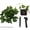 #2, variant on Rkxzt Plastic Rattan Light String Solar Powered Artificial Ivy Garland Lights with 8 Modes
