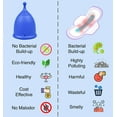 thumbnail image 6 of SHORDY Menstrual Cup, Single Pack (Large) with Box, 6 of 6