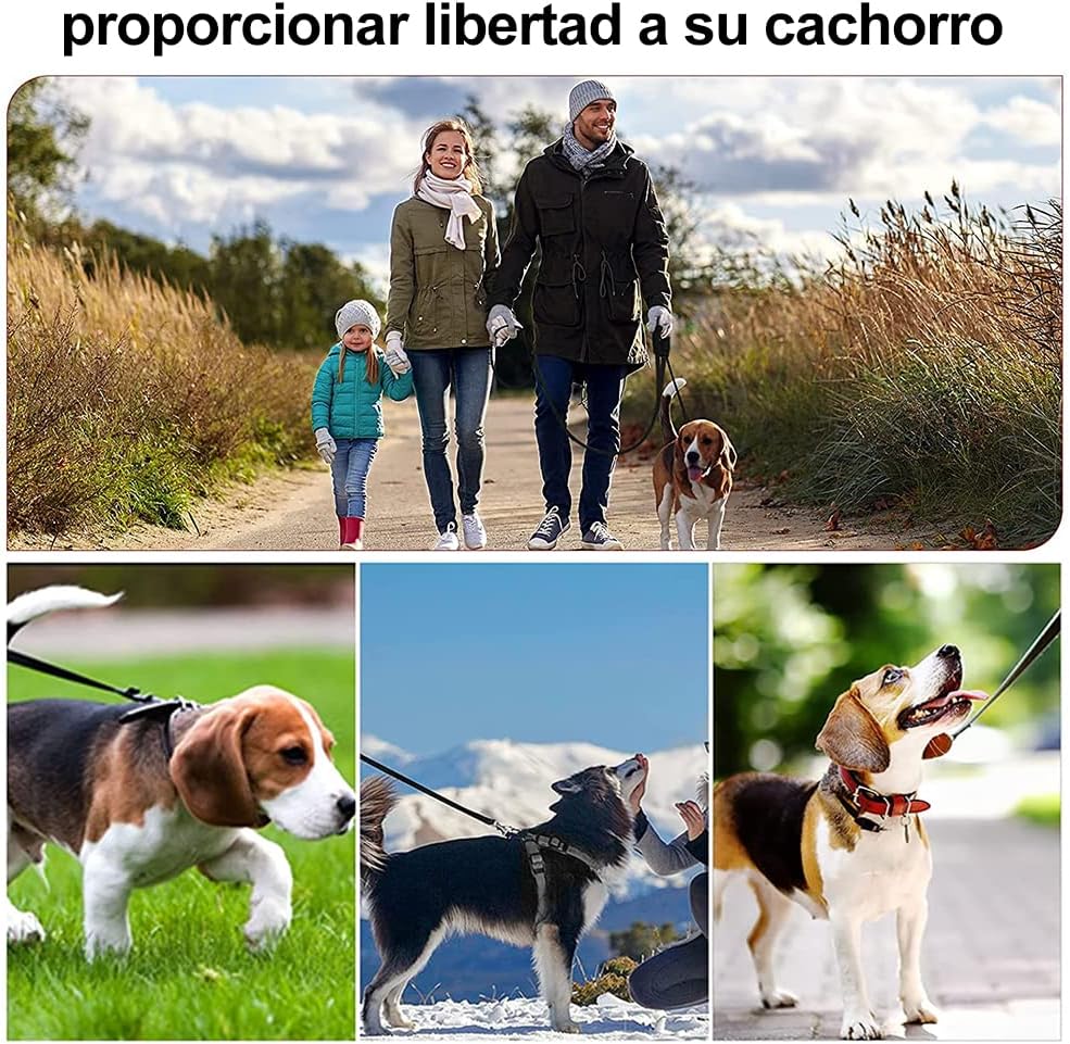 Dog Leash, 10m Long Hands-Free Dog Training Leash, Long and Durable Leash for Training, Recall, Play, Safety and Camping (Black)