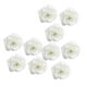 thumbnail image 1 of 10 Uds flores de Seda artificial cabezas de rosas Sunnimix para decoración Marfil 7 cm, 1 of 8