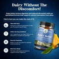 thumbnail image 5 of Natures Craft Dairy Relief Lactose Intolerance Pills for Digestive Support & Bloating Relief, 60 Ct, 5 of 9