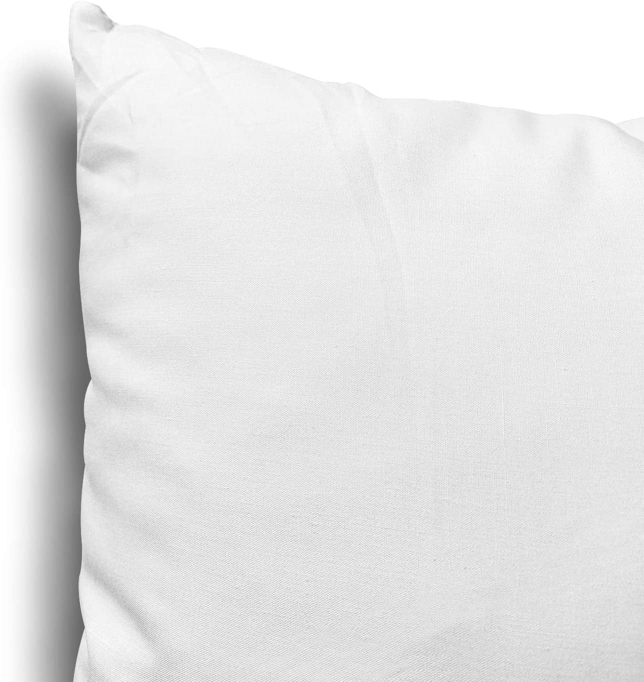 EDOW Throw Pillow Insert, Set of 2 Down Alternative Polyester Square Form Decorative Pillow, Cushion,Sham STUFFER. (White, 18x18)
