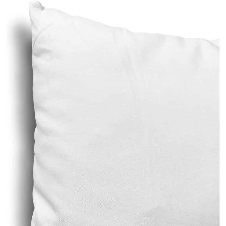 Yettbea Throw Pillows Inserts, 18'' x18'' Set of 2, Decorative Comfy  Pillows for Couch, Sofa, Bed with Premium Down Alternative Filled, White