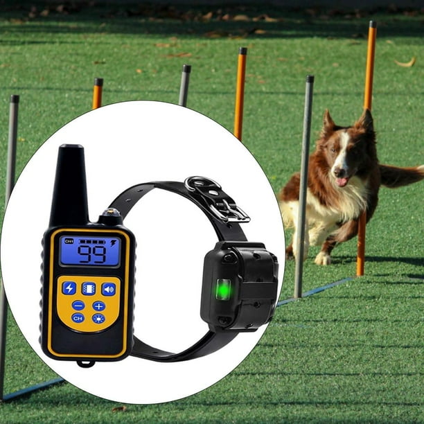 How to use electric dog outlet collar