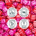 thumbnail image 4 of SmartSweets SweetChews, 1.6oz (Pack of 14), Candy With Low Sugar & Calorie, Healthy Snacks For Kids & Adults, 4 of 6
