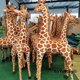 thumbnail image 2 of 35-120CM Giant Real Life Giraffe Plush Toys High Quality Stuffed Animals Dolls Soft Kids Children Baby Birthday Gift Room Decor, 2 of 4