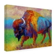 thumbnail image 3 of Trademark Fine Art Marion Rose Journey Unknown Canvas Wall Art - 35x47, 3 of 5