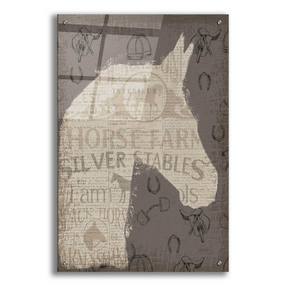 Epic Art 'Equine II' by James Wiens, Acrylic Glass Wall Art, 24"x36"