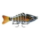 thumbnail image 1 of Artefacto de pesca eficiente: diseño realista que nada y atrae a los peces, 1 of 5