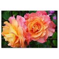 thumbnail image 1 of Flowers Ceramic Tile Mural Kitchen Backsplash Bathroom Shower, 402548-S64, 1 of 9