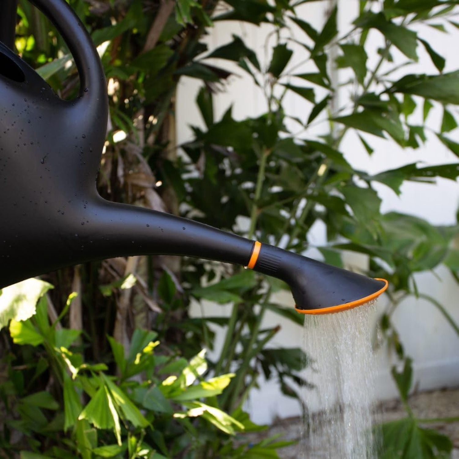 RWYP Easy Pour Watering Can, 2.6 Gallon, Black (20-47287CP)