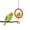 RED, variant on Kinyuki Pet Bird Mirror with Bell Interactive Parrot Toy Bird Cage Mirror for Cockatiel Parakeets Canaries Budgie (Green)