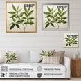 thumbnail image 4 of Designart "Foliage Outlined In Olive Minimalism Leaves II" Leaves Floater Framed Wall Art Living Room, 4 of 5