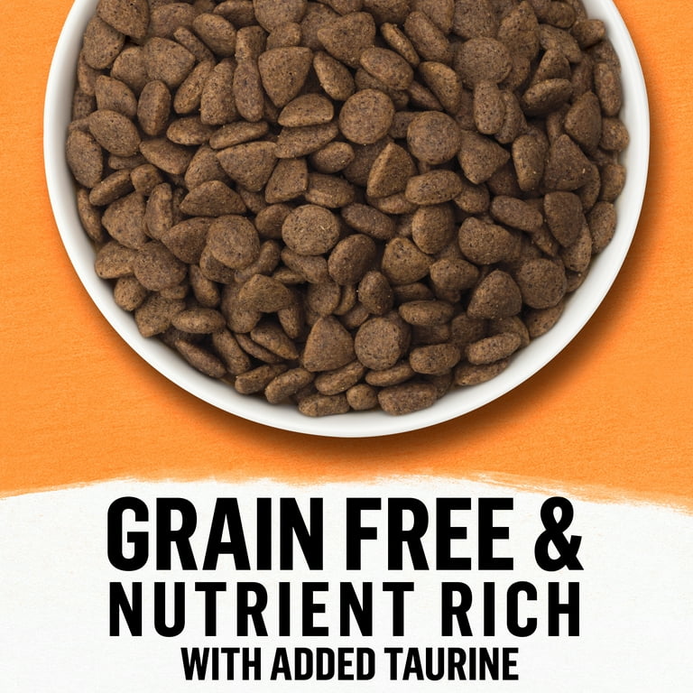 Beyond dog food clearance walmart