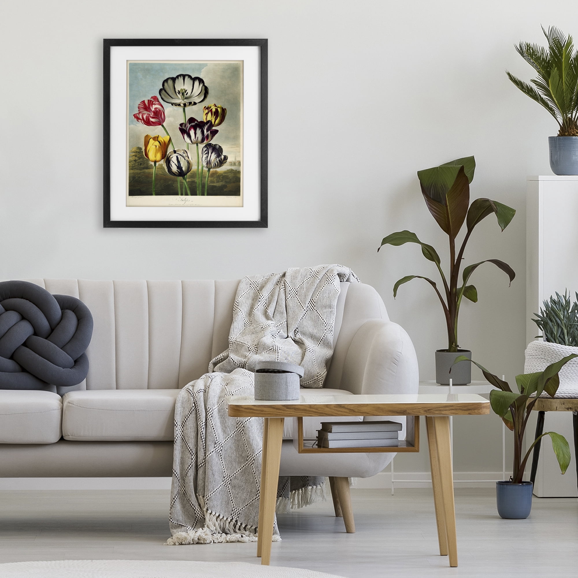 Stupell Industries Tulips From The Temple Black Framed Print Under Glass, design by Print Collection