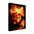 thumbnail image 4 of Trademark Fine Art 'Bowl Of Cherries' Canvas Art by Joe Felzman Photography, 4 of 4