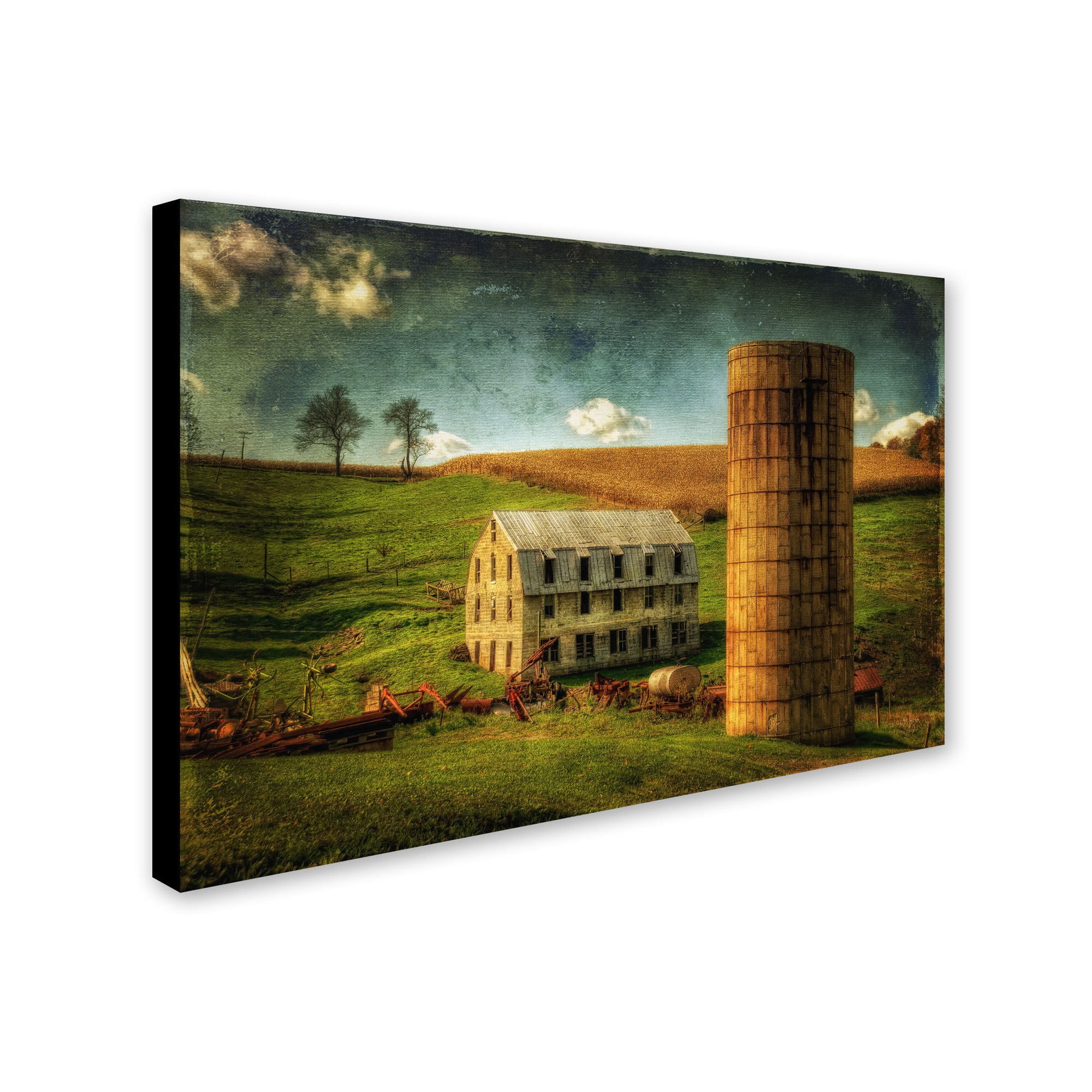 Trademark Fine Art "His Pride and Joy" Canvas Art by Lois Bryan