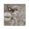 thumbnail image 2 of Trademark Fine Art "Moon Peacock" Canvas Art by Color Bakery, 2 of 2