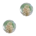 thumbnail image 1 of Moyic Llamativa bola de cristal con regalo floral para entusiastas del cristal Diseño único y exquisito Margarita blanca 7cm 2Conjunto, 1 of 6