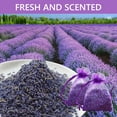 thumbnail image 2 of Tripumer 20 Pack Lavender Scented Sachet Home Fragrance Sachets Dried Lavender Flowers Potpourri Bags for Wardrobes Drawers Closets Purple, 2 of 7
