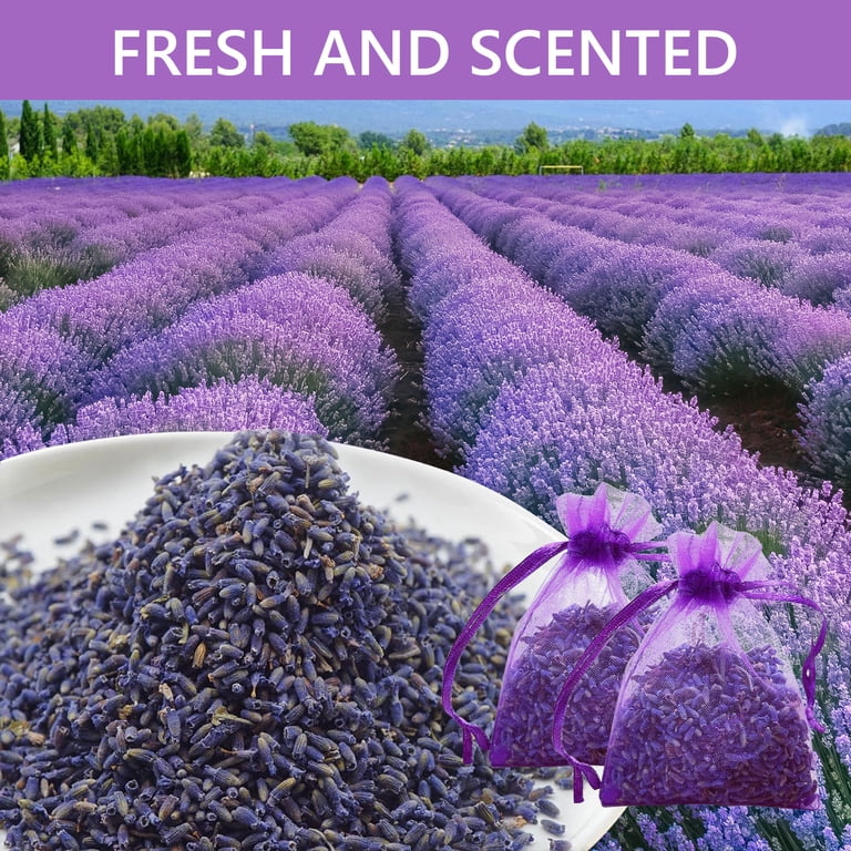 Lavender Scented Sachets, 30-Pack photo 2