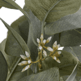 thumbnail image 3 of Bouclair Green Aritificial Eucalyptus Plant in Ceramic Pot, 3 of 3