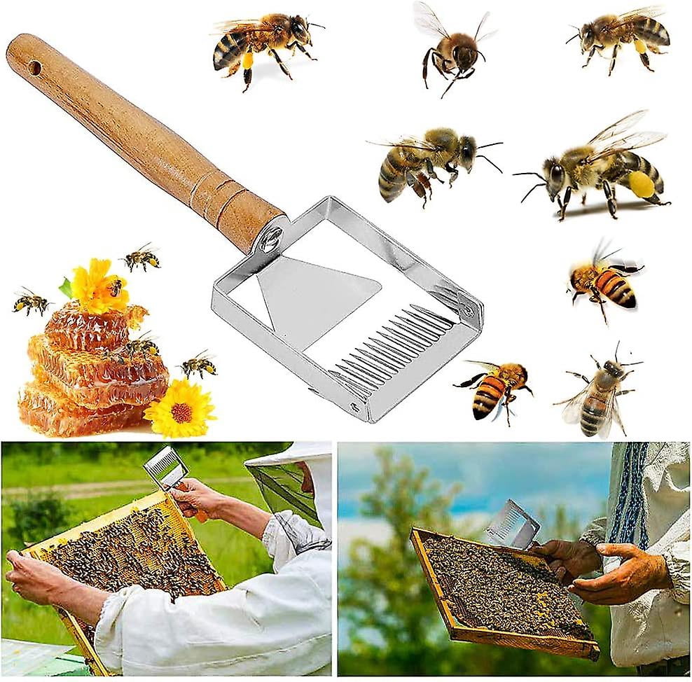 Soporte Para Cubos De Miel De Abeja, Marco De Soporte Para | Cuotas sin