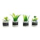 thumbnail image 1 of Plantas en miniatura para casa de muñecas, modelo de adorno, juguete de simulación, plantas diminutas, escala 1/12 Estilo A, 1 of 9