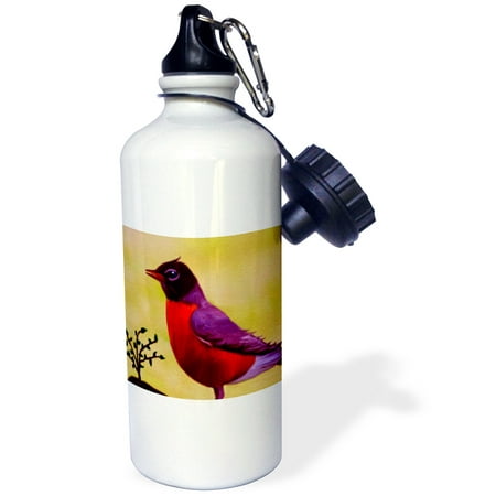 

3dRose Robin Redbreast Sports Water Bottle 21oz