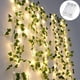 thumbnail image 1 of Guirnalda de luces artificiales de hojas de arce verdes para ventana, guirnalda colgante de plantas, hojas de vegetación artificial, decoración para dormitorio, boda, hogar (luz cálida), 1 of 8