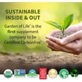 thumbnail image 4 of Garden of Life Beets Beauty Gummies, Raspberry Flavor, 30 Servings, 4 of 8