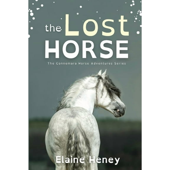 Connemara Horse Adventure The Lost Horse - Dyslexia Friendly, Book 6, (Paperback)