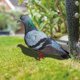 thumbnail image 5 of 3D Artificial Doves Garden Statue Acrylic Yard Art Animal Statues Decoration for Weding Party Garden Decor, 5 of 5