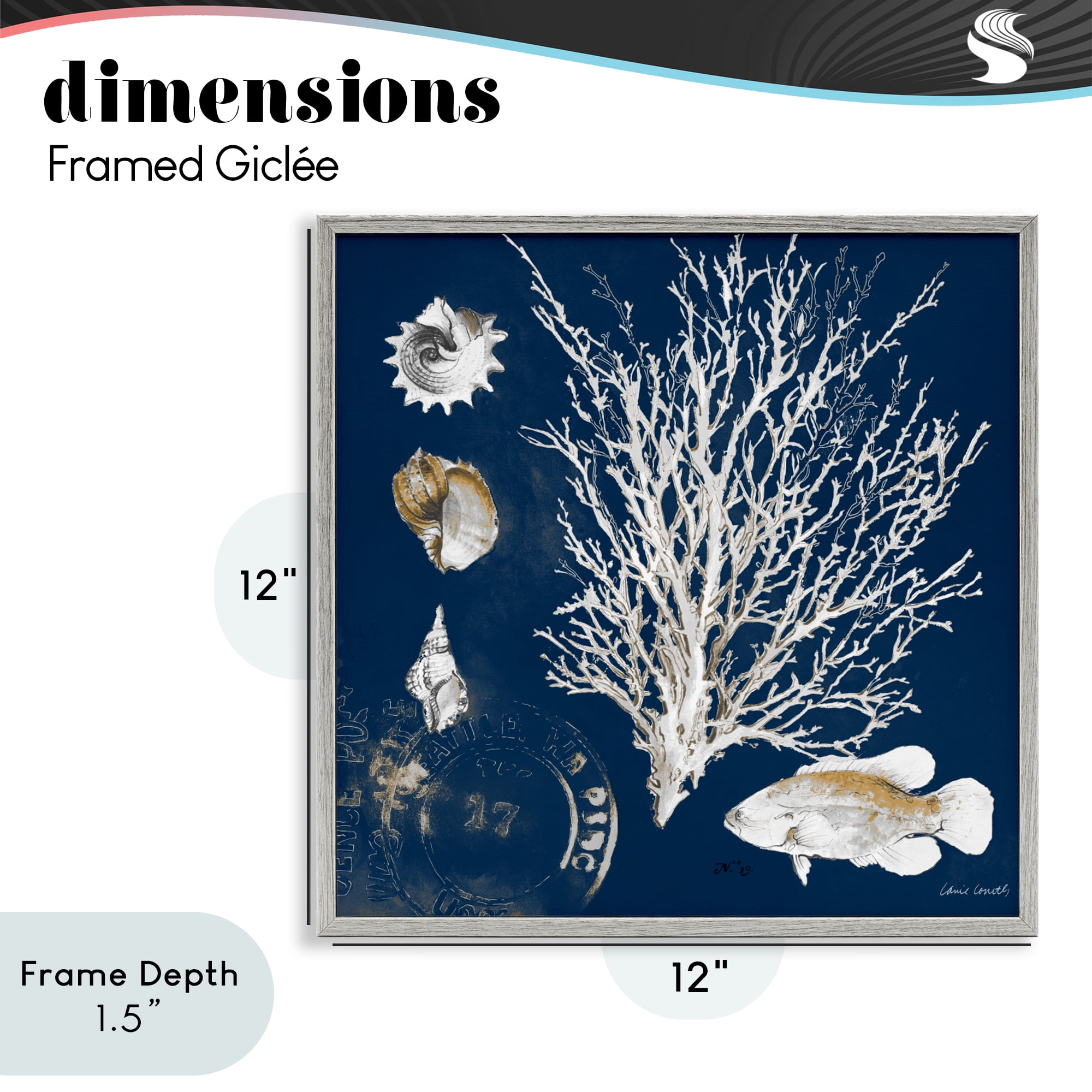Stupell Industries Coral Medley on Navy Gray Framed Giclee Art, design by Lanie Loreth