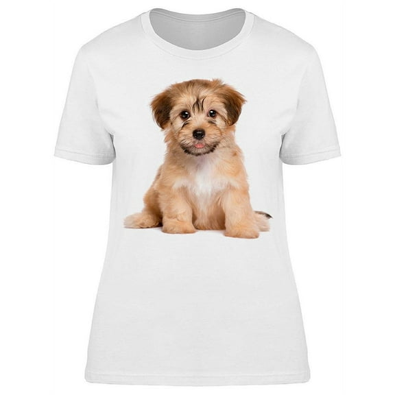 Sitting Havanese Puppy T-Shirt Women -Image by Shutterstock, Female 3X-Large