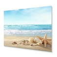 thumbnail image 2 of Designart "Starfish and Seashells Collection II" Modern Landscape Beach Metal Wall Art Prints, 2 of 5