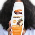 thumbnail image 6 of Palmer's Cocoa Butter Formula + Biotin Length Retention Shampoo for All Curl Patterns, 13.5 fl. oz., 6 of 11