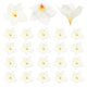 thumbnail image 1 of Uxcell 20-Pack Flores de Plumeria Artificiales, Cabezas de Seda Falsas para Manualidades DIY/Vestido/Boda/Decoración de Fiesta [Blanco, 3.54"/ 9cm], 1 of 6