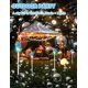 thumbnail image 3 of The latest bubble machine in 2025, suitable for parties, rechargeable bubble machine, 3 of 5
