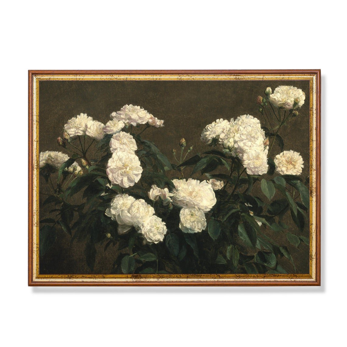 Vintage White Roses Still Life: Antique Floral Wall Art Botanical Bedroom And Living Room Decor