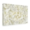 thumbnail image 4 of Trademark Fine Art 'White Peony Flower' Canvas Art by Cora Niele, 4 of 4