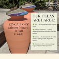 thumbnail image 2 of Large 1.25 Gallon Olla for Garden Watering * Perfect for Large Garden Beds * Porous Terracotta Self-Watering Irrigation Pot (Olive Purple & Blue Lid), 2 of 12