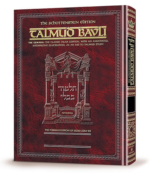 Schottenstein Edition Of The Talmud - English Full Size [#19] - Taanis ...