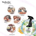 thumbnail image 4 of BE.GOOD. Pet Odor Eliminator, 16oz Spray, Woodland Essence - Pet Odor Eliminator for Home - Dog Urine Odor Eliminator - Pet Odor Remover, White, 4 of 4
