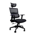 thumbnail image 2 of Silla Ejecutiva Ergo Parma C, Respaldo de Malla, Ergonómica, Negro, 2 of 3