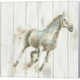 thumbnail image 1 of Great Art Now Stallion I on Birch by James Wiens Canvas Wall Art, 1 of 2