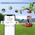 thumbnail image 3 of Comedero para colibríes con cámara, alimentado por energía solar TT Nature, 3 of 9