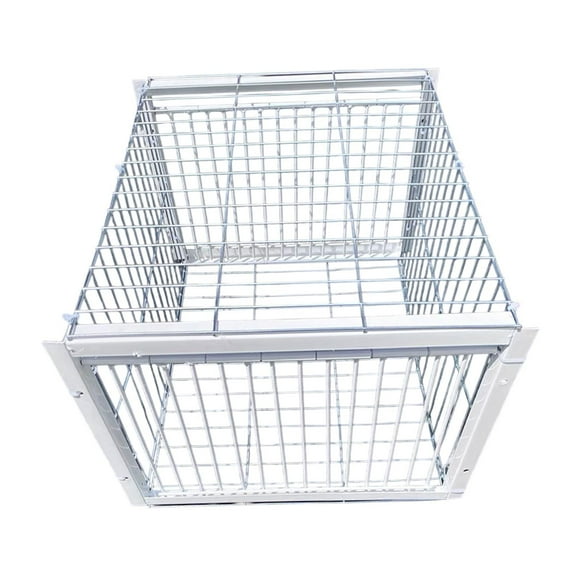 Jaula trampa para pájaros y palomas, gallinero, entrada de un solo sentido, jaula trampa para animales, recolector automático de palomas para palomas Andowns salvajes Entrada de 2 vías
